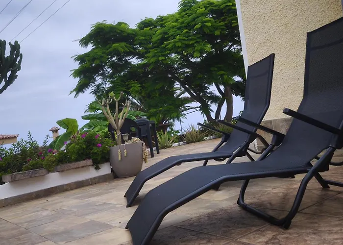 Alma Feliz تاكورونتي