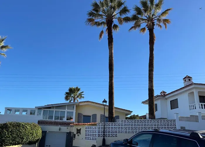 Alma Feliz تاكورونتي