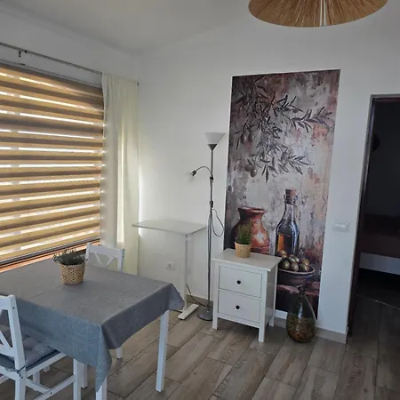 Alma Feliz * タコロンテ