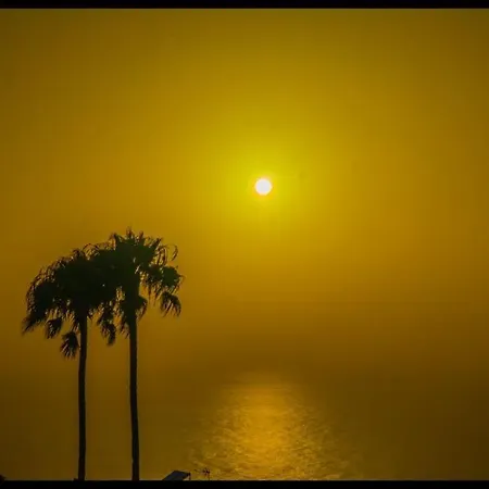 Alma Feliz Такоронте