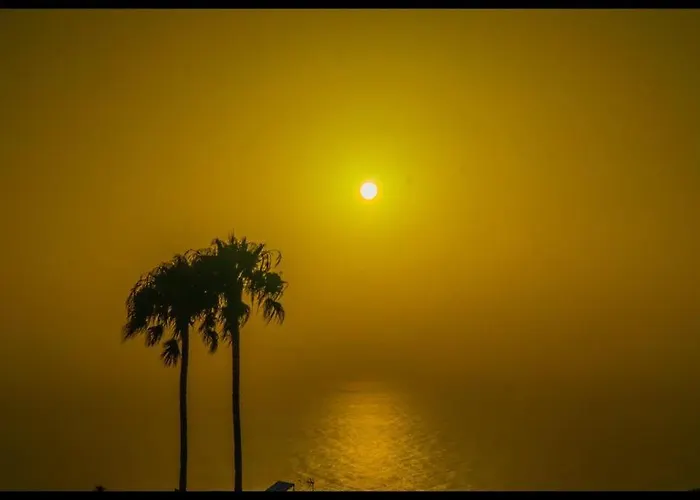 Alma Feliz טקורונטה