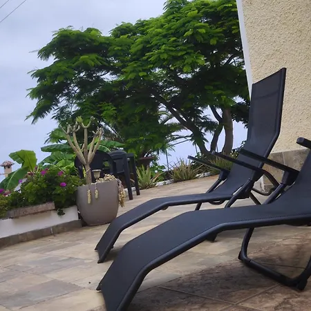 Alma Feliz 塔科龙特