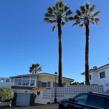 Alma Feliz 塔科龙特